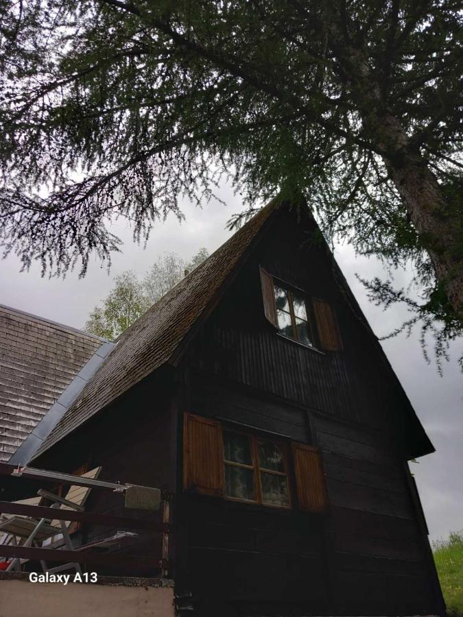 Villa Vikendica Malovic Žabljak Exterior foto